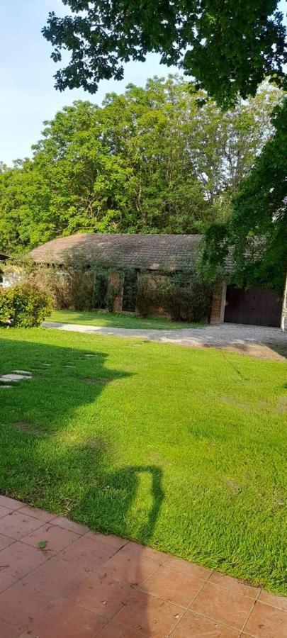 Tenuta Ferrari Cortile Εξωτερικό φωτογραφία